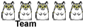 Staff