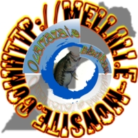 Le site de notre ami Mellali Said