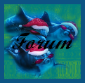 Chez les dauphins Forum Index