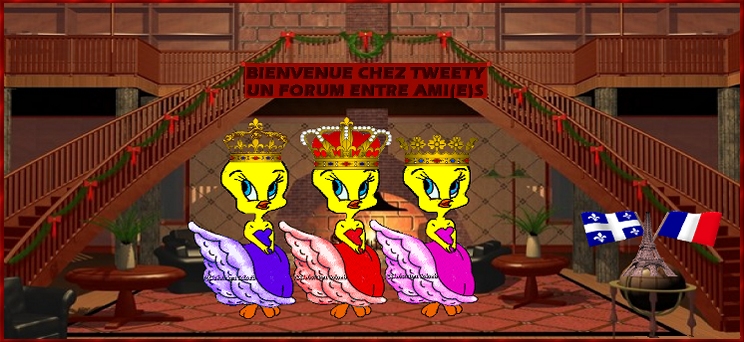 BIENVENUE CHEZ TWEETY Forum Index