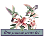 :pensée: