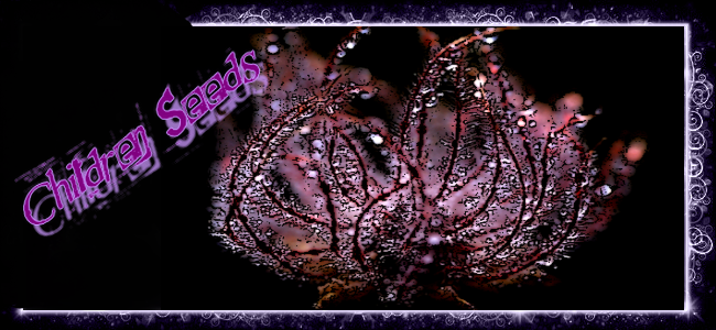 Children Seeds