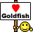 Love goldfish