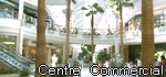 http://img9.xooimage.com/files/1/5/0/centrecom-1a24bf.jpg
