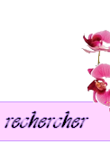Search