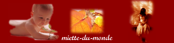 miette-du-monde Forum Index