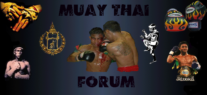 MUAYTHAIFORUM Forum Index