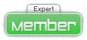Expert