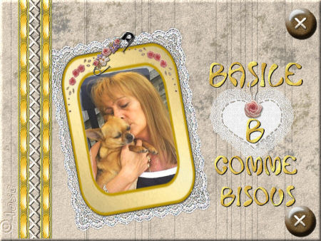 Basile Club Chihuahua :: Bienvenue � tous ceux qui aiment les chis. Inscrivez-vous.Domi
