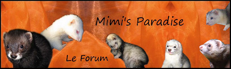 Mimi's Paradise Forum Index