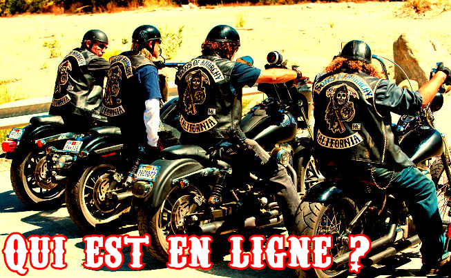 Qui est en ligne ?