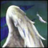 New posts