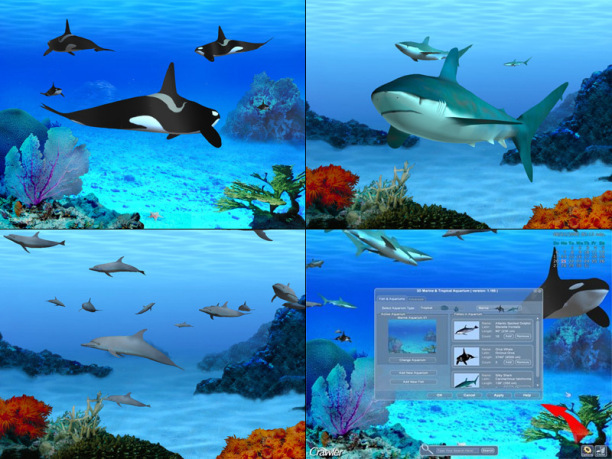 Fondos de pantalla 3D con movimiento de delfines - Imagui