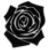 New posts