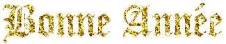 bonne année