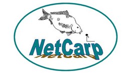 NetCarp Index du Forum