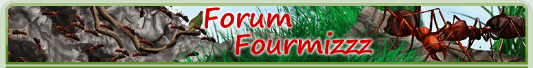 Fourmizzz Forum Index