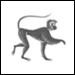 猴 Singe