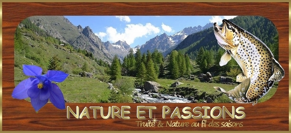 NATURE ET PASSIONS Forum Index