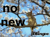 No new posts
