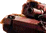 New posts [ Locked ]