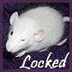 Forum is locked