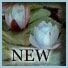 New posts