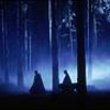 http://img9.xooimage.com/files/4/c/9/images-8c4cc7-9774d5.jpeg
