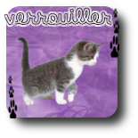 Ce forum est verrouillé; vous ne pouvez pas poster, ni répondre, ni éditer les sujets. Ce forum est verrouillé; vous ne pouvez pas poster, ni répondre, ni éditer les sujets.