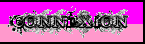 Connexion