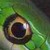 New posts