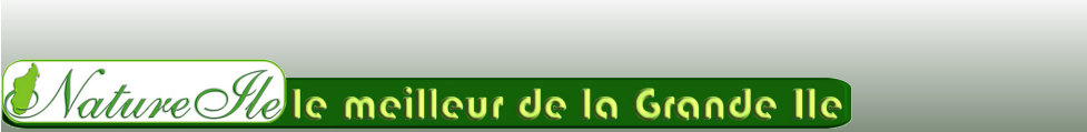 Forum Nature-Ile Forum Index