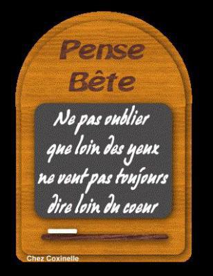 Le.Nautile Forum Index