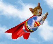 chat-superman-2c8fa4d.jpg