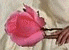 New posts