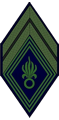 CAPORAL