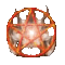 New posts