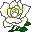 No new posts [ Popular ]