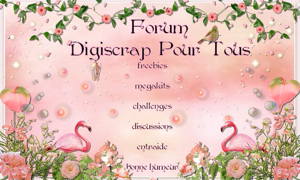Digiscrap Pour Tous Forum Index