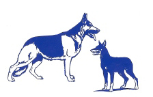 Education canine de Ville-Sous-Anjou Forum Index