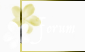  Forum Index