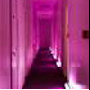 http://img9.xooimage.com/files/8/7/4/coul6-973299.jpeg