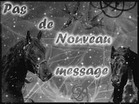 Pas de nouveaux messages Pas de nouveaux messages