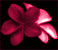 No new posts [ Popular ]