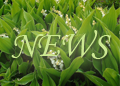New posts