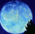 FORUM DE LA NUIT-INSOMNIA Forum Index
