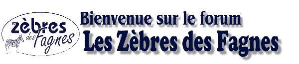 les zebres des fagnes Forum Index