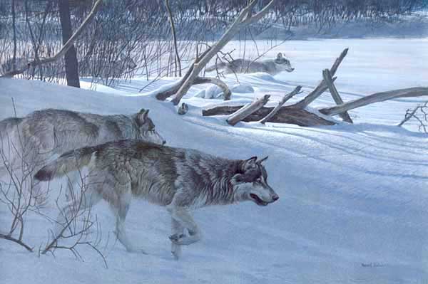 La Meute de Loups Forum Index