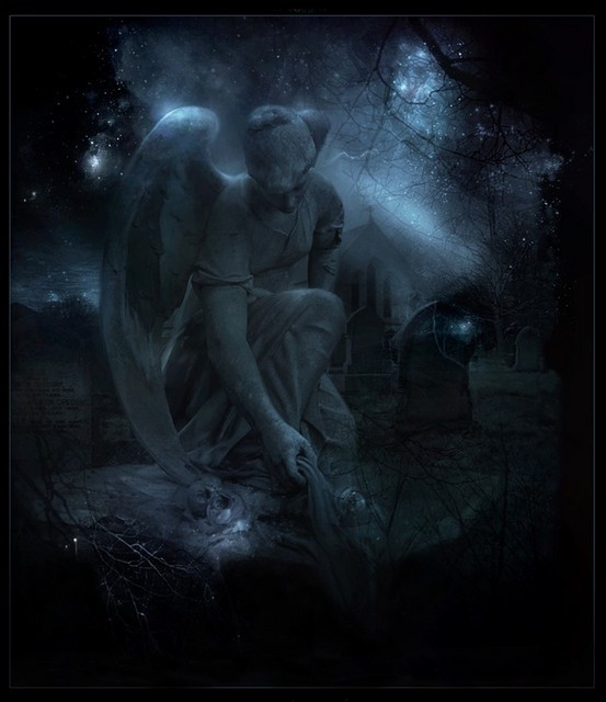 les anges déchus Forum Index