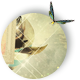 No new posts